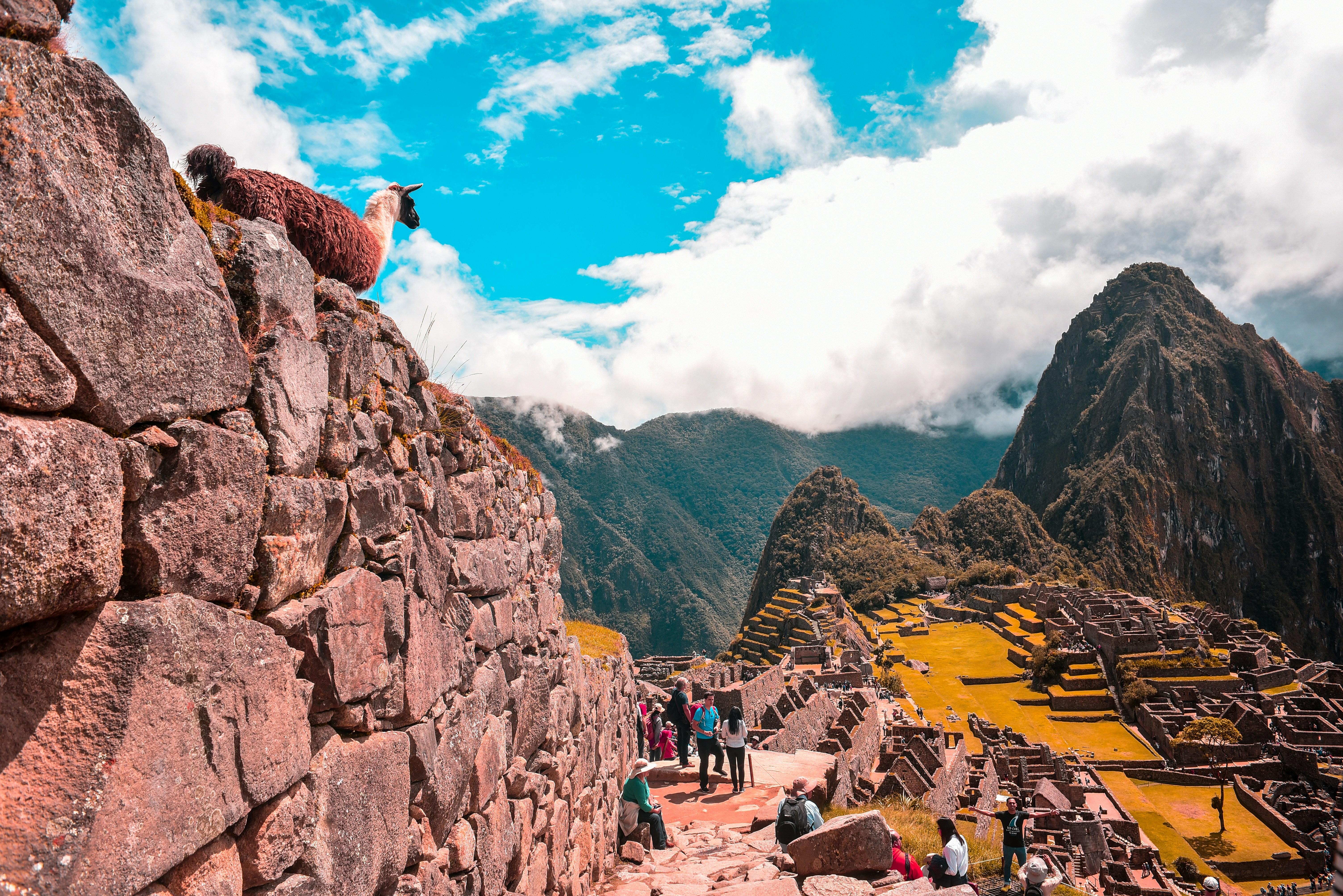 TOUR IN PERU di 7 NOTTI   (dove volano i condor )