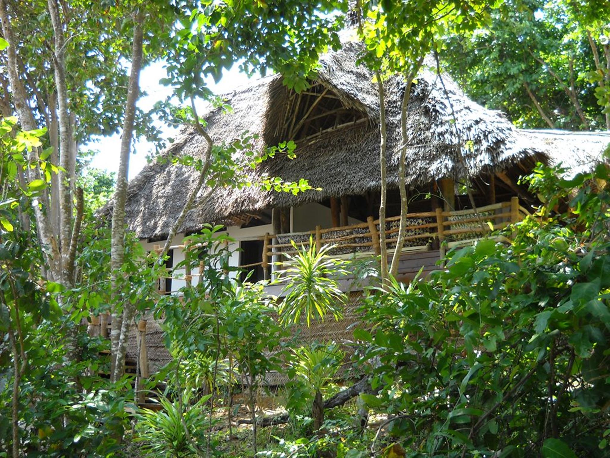 FUDU LAGOON ( isola di Pemba) Tanzania 